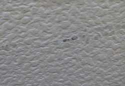 焼津市の外壁塗装のお客様で外壁に擦り傷を発見