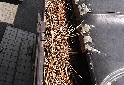 吉田町　樋の清掃作業をしました