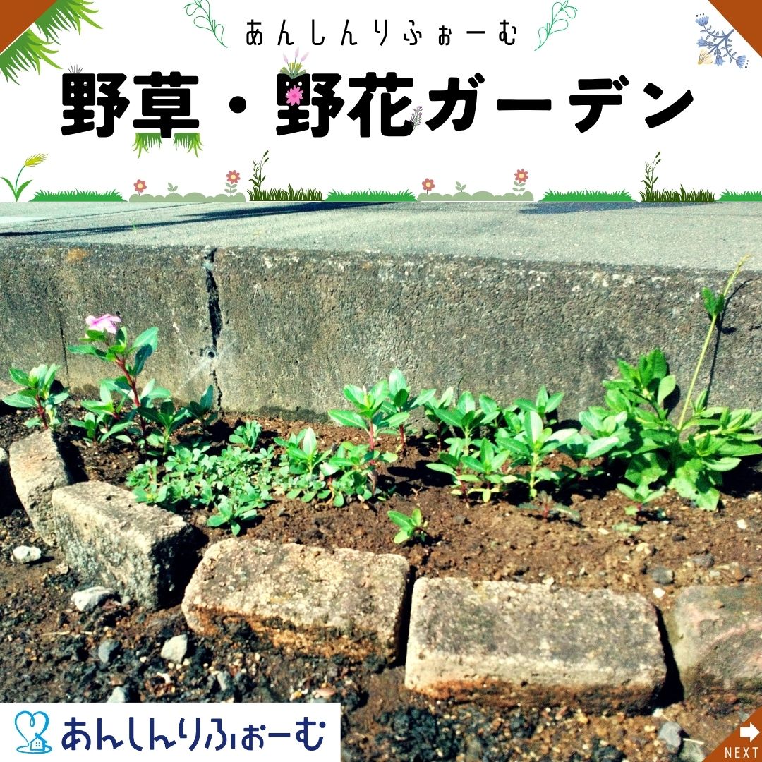 あんしんガーデン