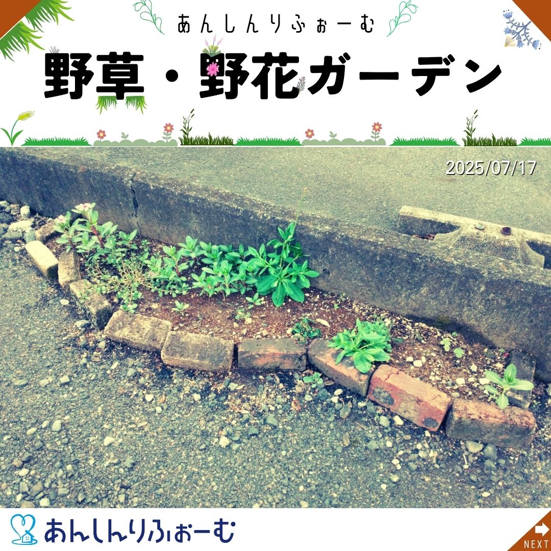 あんしんガーデン