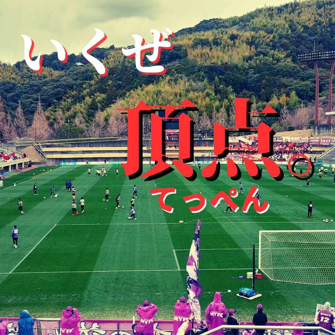 藤枝MYFC　試合結果一覧と選手成績だよ