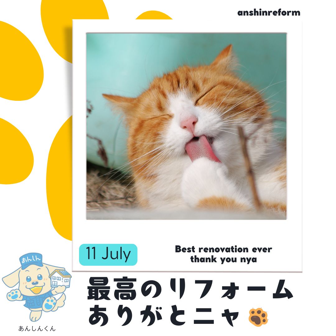 わんニャふるタイム！ネコちゃんだってリフォームしたいのよ
