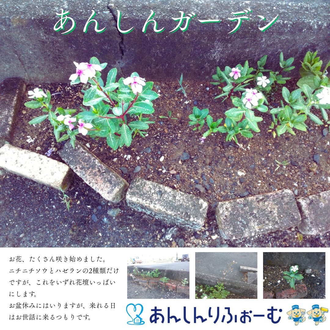 あんしんガーデン