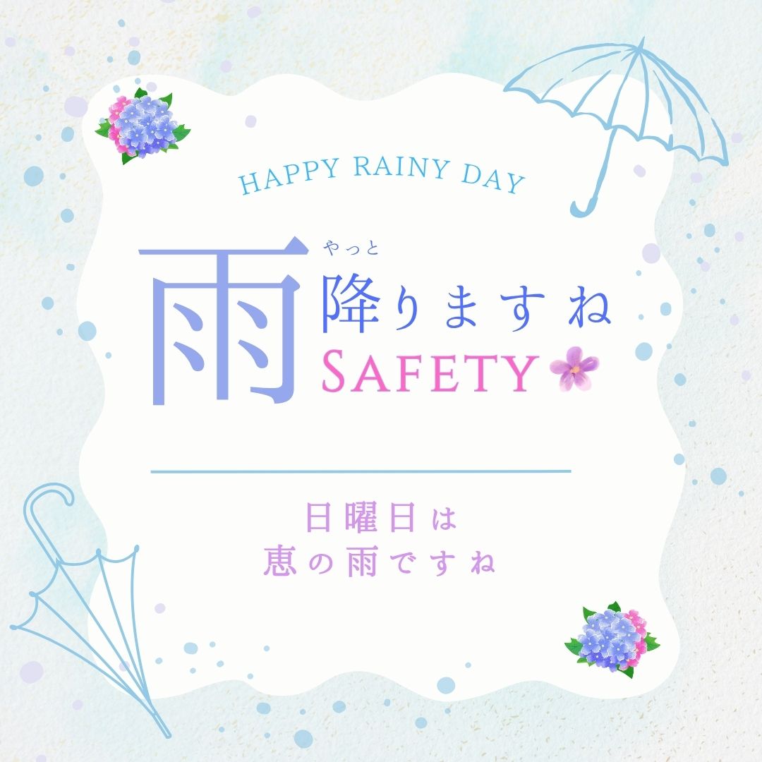 日曜日は嬉しい雨の予報！