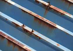 【吉田町の屋根塗装現場】金属屋根のボルトの錆対策